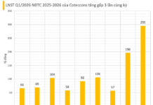 Coteccons Construction (CTD) Reports Highest Quarterly Profit in 7 Years After Two Consecutive Sessions of Stock Surging to Ceiling