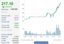 “Billionaire Nguyen Dang Quang’s ‘Diamond’ Seeks 22.5% Bonus Share Issuance, Aiming to Boost Charter Capital to Nearly VND 13 Trillion”
