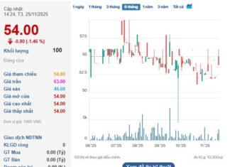 Top Hydropower Enterprise in Da Nang Announces Critical Update