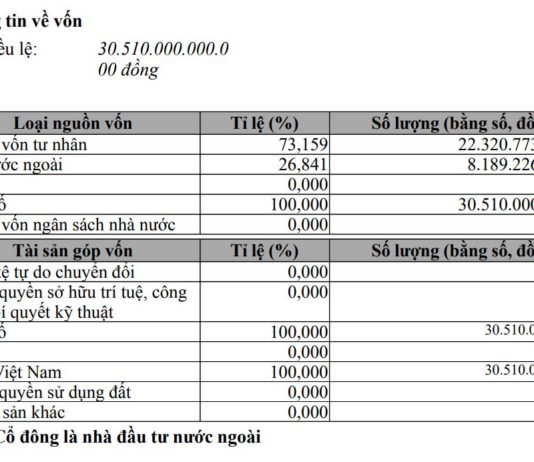 THACO Announces 108 Foreign Investors Holding 26.8% of Chartered Capital, Singapore’s JC&C Secures 26.6%, and Multiple South Korean Individuals Featured