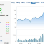 Agile Group Stock (HAG) Faces Uncertainty: What’s Next for Bầu Đức’s Shares?