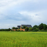 Serene Sloping Roof Home Amidst Breathtaking Rice Paddy Fields