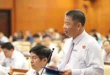 Ho Chi Minh City Chairman Addresses $430 Million Flood Control Project and Rail Link to Long Thanh Airport