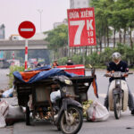 Fresh Siamese Coconuts Flood Hanoi Markets at Just 7,000 VND Each