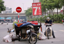 Fresh Siamese Coconuts Flood Hanoi Markets at Just 7,000 VND Each