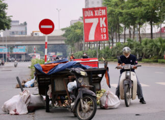 Fresh Siamese Coconuts Flood Hanoi Markets at Just 7,000 VND Each