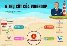 The 6 Pillars of Vingroup: What is Billionaire Pham Nhat Vuong Building for the Next Decade?