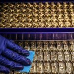 Cambodia Unveils “Massive” Gold Reserve, Plans to Entrust China with Safekeeping