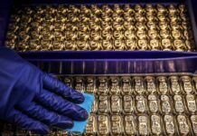 Cambodia Unveils “Massive” Gold Reserve, Plans to Entrust China with Safekeeping