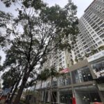 8 Social Housing Projects in Dong Nai Approved for 120 Trillion VND Credit Package