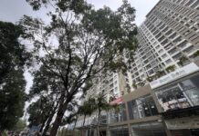 8 Social Housing Projects in Dong Nai Approved for 120 Trillion VND Credit Package