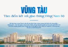 Unlocking Investment Waves: How Open Connectivity Infrastructure is Transforming Vũng Tàu