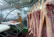 Why Are Pork Prices Still High in Markets Despite a Sharp Drop in Live Pig Prices?