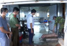 Prosecution of Pig Farm Owner in Hưng Yên for Supplying Sick Pigs to Market