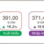 Vietnam Records $19.56 Billion Trade Surplus in First 10 Months of 2025