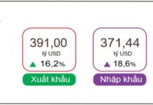 Vietnam Records $19.56 Billion Trade Surplus in First 10 Months of 2025