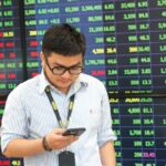 Unraveling the Margin Record: Reflections and Insights