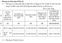 LDP Chairman Persists in Divestment Ahead of $280 Billion Capital Increase