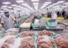 Vietnam’s Seafood Exports Projected to Hit $10.5 Billion in 2023