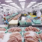 Vietnam’s Seafood Exports Projected to Hit $10.5 Billion in 2023