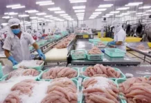 Vietnam’s Seafood Exports Projected to Hit $10.5 Billion in 2023
