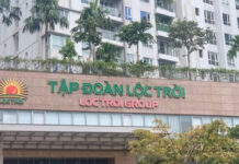 Lộc Trời Group Seeks $10.6 Million Loan from Subsidiary to Boost Business Operations