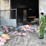 Unveiling the Hidden Giant: An Inside Look at a Large-Scale Lard Processing Facility Concealed Within a Cemetery