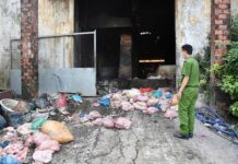 Unveiling the Hidden Giant: An Inside Look at a Large-Scale Lard Processing Facility Concealed Within a Cemetery