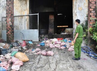 Unveiling the Hidden Giant: An Inside Look at a Large-Scale Lard Processing Facility Concealed Within a Cemetery