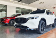 Electric Vehicles Propel C-Segment SUV Sales to New Heights