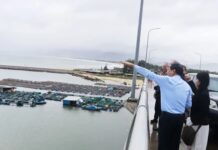 Gia Lai Invites Investment in $2 Billion Mega Wind Power Project