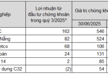 Profitable Businesses from Stock Investments Face Risks Amid Market Corrections