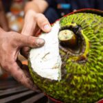 Fresh Jackfruit Officially Exported to China