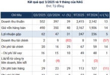 Nagakawa CEO Eyes 1.5 Million Share Buyback as Stock Hits Record Low