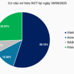 NCT Shareholders Set to Receive 80% Cash Dividend in Latest Windfall