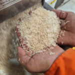 Which Rice Varieties Dominate the 90% Import-Dependent Rice Market?