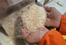 Which Rice Varieties Dominate the 90% Import-Dependent Rice Market?