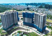 Great News for Thousands of Residents in Quang Ninh