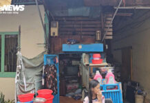 Micro-Home Oasis in the Heart of Vietnam’s Largest Metropolis