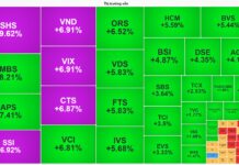 Market Pulse 04/11: Euphoria Returns, VN-Index Surges Nearly 35 Points