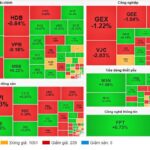 Market Pulse 11/11: Blue-Chip Stocks Return, VN-Index Sustains Uptrend