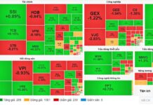 Market Pulse 11/11: Blue-Chip Stocks Return, VN-Index Sustains Uptrend
