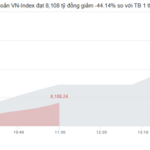 Market Pulse 12/11: Green Wave Sweeps In, VN-Index Recaptures 1,630 Mark