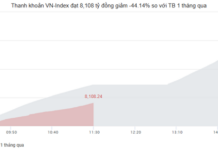 Market Pulse 12/11: Green Wave Sweeps In, VN-Index Recaptures 1,630 Mark