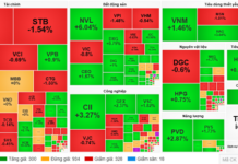 Market Pulse 14/11: Divergent Trends as Foreign Investors Net Sell VN30 Stocks