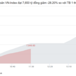 Market Pulse 24/11: Divergence Persists as Vingroup Stocks Continue to Shine