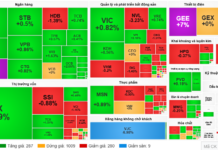 Market Pulse 27/11: Efforts to Gain Momentum Face Ongoing Challenges