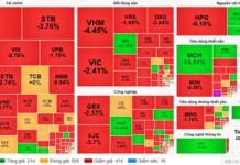 Market Pulse 07/11: Foreign Investors Offload Financial & Real Estate Stocks, VN-Index Dips Below 1,600 Points