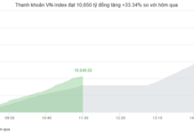 Market Pulse 10/11: Red Dominates as VN-Index Continues to “Test the Bottom”