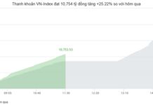 Market Pulse 11/17: Real Estate Sector Drives Gains, VN-Index Continues Recovery